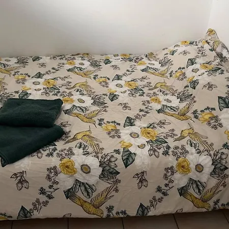 Serene Oasis - Your Idyllic Escape